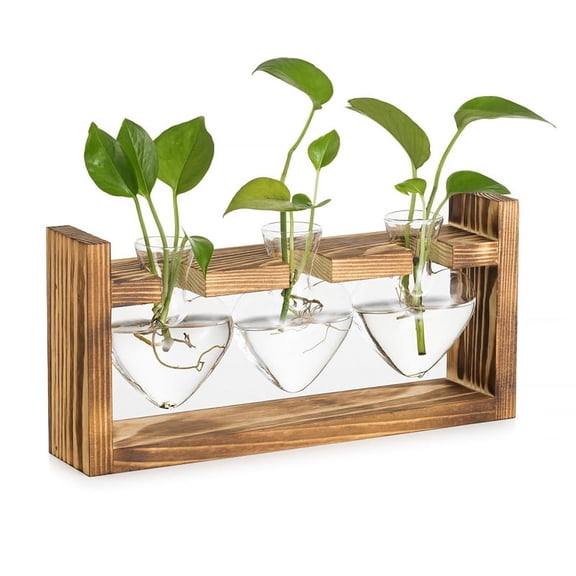 Glass Propagation Station for Plants: Vintage Vases Decoration with Wooden Frame Set for Living Room Office Shelf
