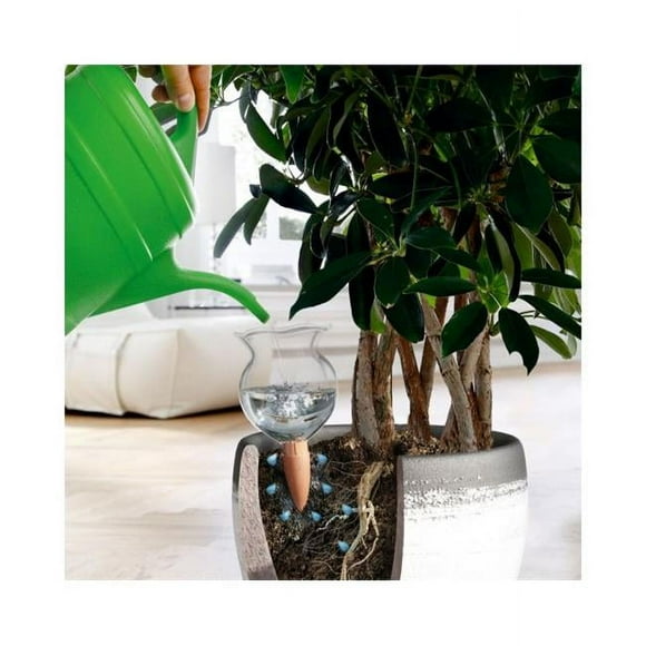Bio Green HBL-200-T Piquet en Terre Cuite Hydro Bloom Arrosage 5,7 x 2,7 Po
