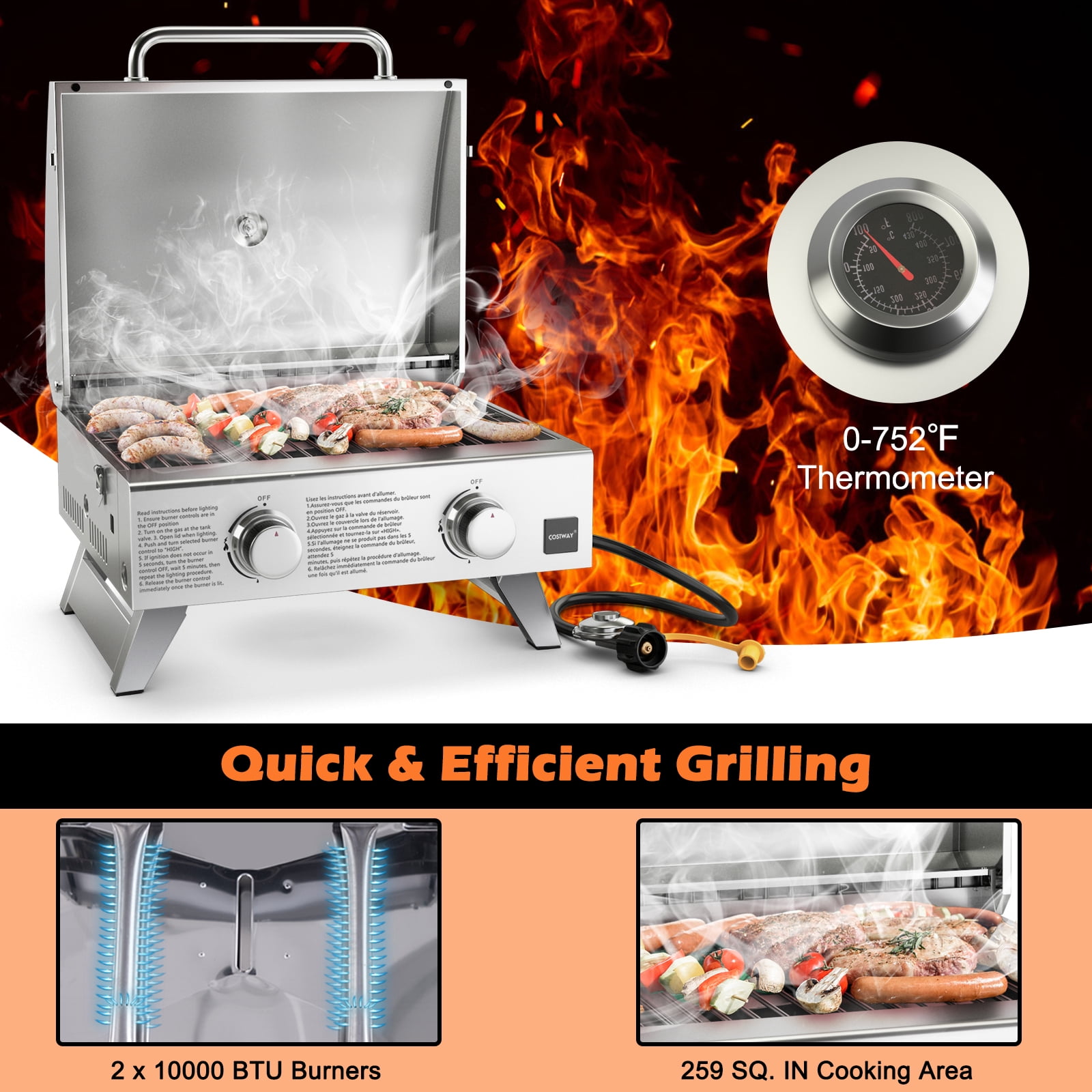 Topbuy 2-Burner Silver Propane Gas Grill with Lid and Handle Top Thermometer