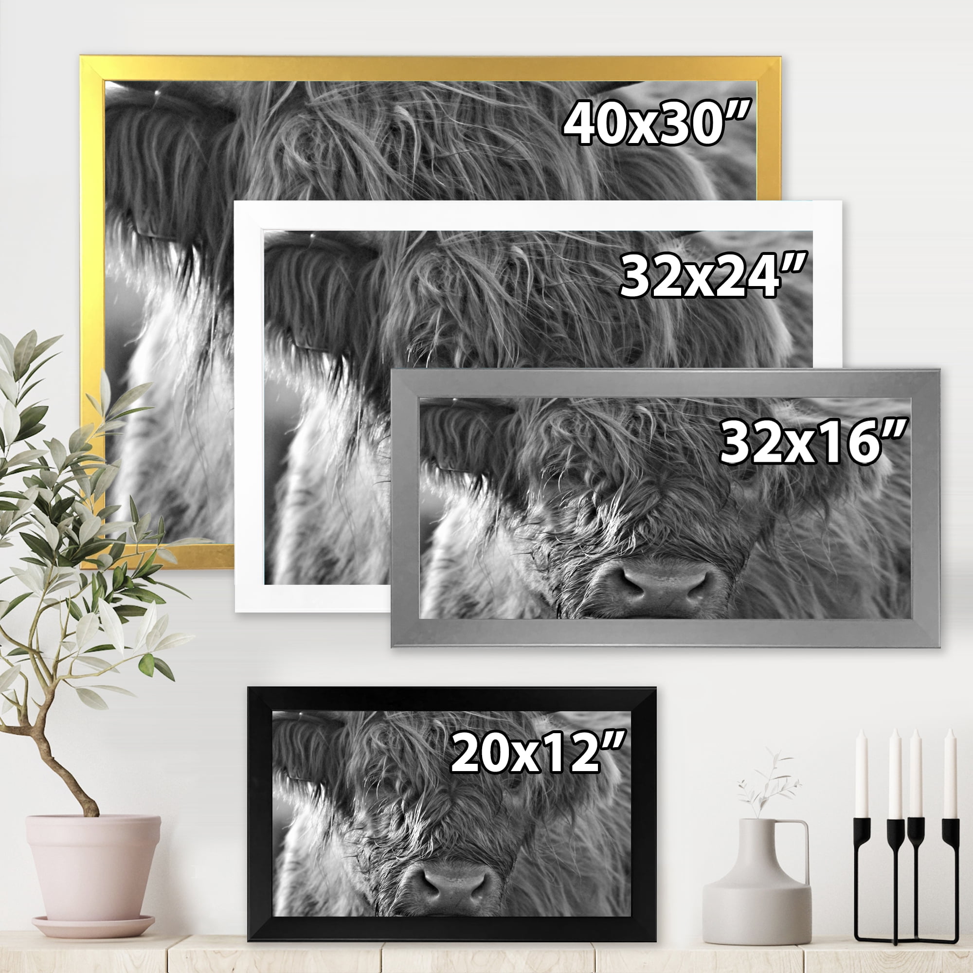 Designart 'Close Up Scottish Highland Cows Living On Moorland' Farmhouse Framed Art Print