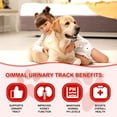 thumbnail image 4 of Oimmal Cranberry Urinary for Dog, Urinary Tract Infection Tre_atm en_t Chewable Tablets for Dog | Natural Cranberry, Kidney Support Health Supplement 180*2 Chewable Tablets, 4 of 10