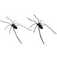thumbnail image 3 of SUQI Spider Fridge Magnet 3D Realistic Fridge Magnet Decor Home/ Lifelike Design US NEW, 3 of 7