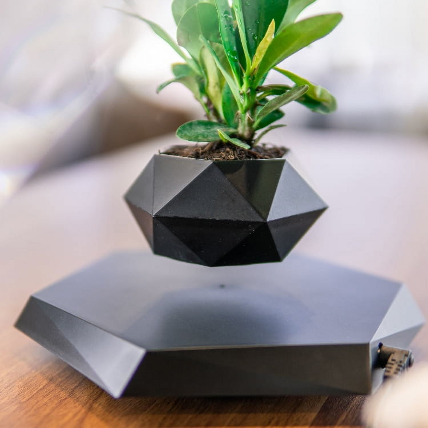 Dwellnix Smart Levitating Flower Plant Pot Home Decor Hovering Floating Magnic Plant Pot