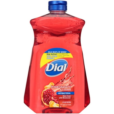 Dial Antibacterial Liquid Hand Soap Refill Guyana Ubuy