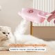 thumbnail image 4 of Peine Aseo para Eléctrico Mudar Gatos Con Puerto Pulverización Masaje, 4 of 9