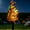A Solar Powered Parrot, variant on Solar-Powered Parrot Garden Light, Whimsical Yard Decor and Patio Solar Stake Lights Waterproof Patio Decorations for Lawn Backyard Pool Party Gift for Your Yard (D Solar Powered Dragon)