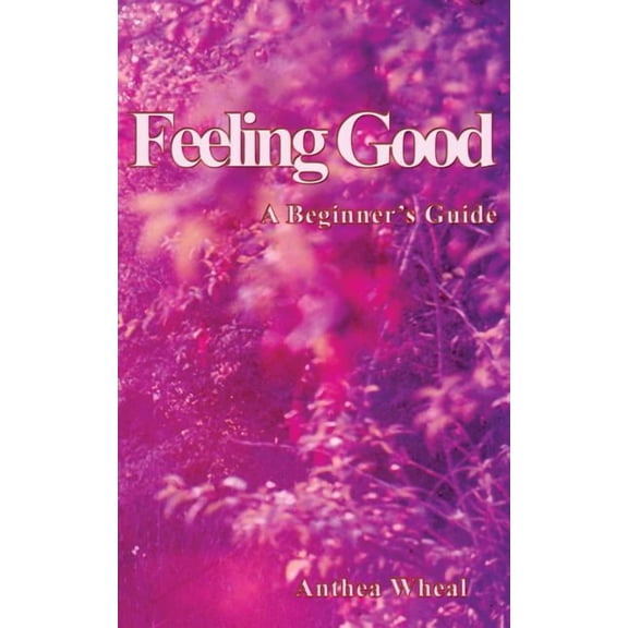 Feeling Good a Beginner's Guide, (Paperback)