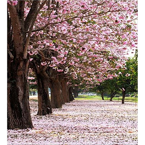YUSDECOR 5x7ft Baby Studio Photography Pink Flower Tree Background Backdrops Petal Cover Floor for Photos