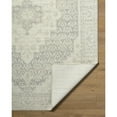 thumbnail image 3 of Livabliss x Nabela Noor Home Athiyo Printed Vintage Runner Area Rug,2'6" x 7'3",Grey, 3 of 11