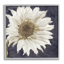 Stupell Industries Modern Distressed Daisy Graphic Art Gray Framed Art Print Wall Art, Design by Sophie 6
