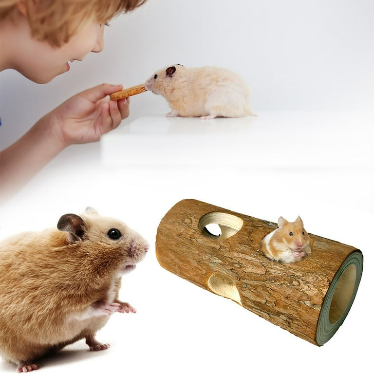 Syrian top hamster toys