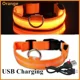 thumbnail image 3 of Collar para perros con luz LED brillante, ajustable, intermitente, recargable, luminoso, arnés con luz nocturna antipérdida para perros pequeños, productos para mascotas, 3 of 5