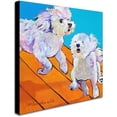 thumbnail image 2 of Trademark Fine Art "Catch Me" Canvas Art by Pat Saunders, 2 of 3