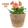 thumbnail image 3 of BESTYASH Canasta Para Plantas Tejida A Mano Con Base Estable Para, 3 of 6