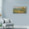 thumbnail image 3 of Trademark Fine Art 'El Dorado Lake II' Canvas Art by Joyce Combs, 3 of 4
