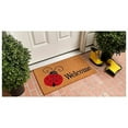thumbnail image 3 of Calloway Mills Ladybug Welcome Outdoor Doormat 24" x 36", 3 of 3