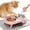 Pink, variant on Elevated Cat Bowl, Raised Cat Food and Water Bowl Set 2 Stainless Steel Pet Food Bowls for Cats and Puppies Pink