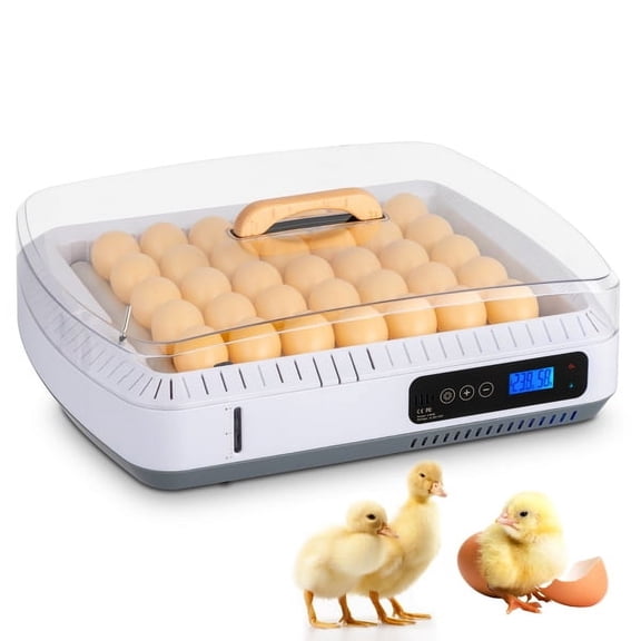 35-Egg Automatic Incubator for Hatching - Digital Temperature & Humidity Control with Water Alarm, 360° View & Easy Water Fill