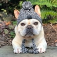 thumbnail image 2 of SharkTRUE Dog Winter Hat, French Bulldog Hat, Knitting Hat For Small Medium Lager Dogs Cats, Dog Winter Knitted Hat Soft Ears Hoodie Earmuffs Fluffy Warm for Pet Dogs Pet Supplies, 2 of 9