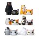 thumbnail image 3 of Los animales disfrazados de gatos tienen modelos de mano, 3 of 5