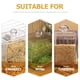 thumbnail image 3 of Comedero para aves de corral transparente, comedero automático para pájaros pequeños, acrílico para palomas., 3 of 6