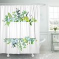 thumbnail image 1 of Cortina de Ducha ABPHQTO Botánico Baby Blue Eucalipto Suculentas Hortensia Verde Flores Silvestres 160x180 cm, 1 of 1