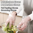 thumbnail image 4 of Homelife 200Pcs Disposable Clear Plastic Gloves Latex Powder Free Home Work Gloves for Cooking Cleaning Painting, 4 of 13