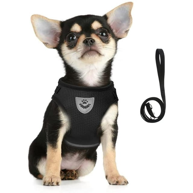 Dog Harness and Lead Set, Soft Mesh Padded Harness for Puppies and Cats, Reflective, Adjustable, Breathable Chest Harness for Walking, Running, Training (Black,M)