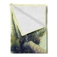 thumbnail image 2 of Palm Tree Soft Flannel Fleece Throw Blanket, Coconut Trees on Tropical Beach Caribbean Coastline Ocean Summer, Cozy Plush for Indoor and Outdoor Use, 60" x 80", Pale Yellow Green Brown, by Ambesonne, 2 of 5