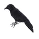 thumbnail image 3 of Pájaro Artificial Macarena Negro con Pies Mullidos Decoración de Jardín, 3 of 8