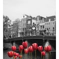 thumbnail image 3 of Black and White Duvet Cover Set, Monochrome Photo of Amsterdam Canal with Red Tulips and Houses, Decorative 3 Piece Bedding Set with 2 Pillow Shams, Queen Size, Black White and Red, by Ambesonne, 3 of 3