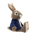 thumbnail image 5 of Way To Celebrate Peter Rabbit Plush, 5 of 5