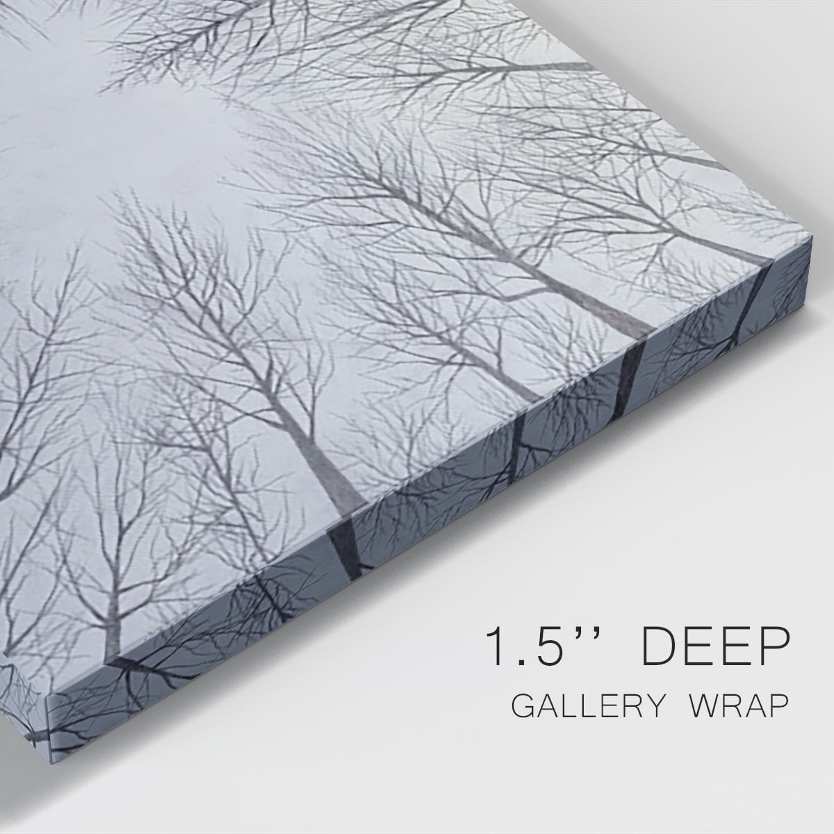 Deciduous Canopy I Premium Gallery Wrapped Canvas - Ready to Hang