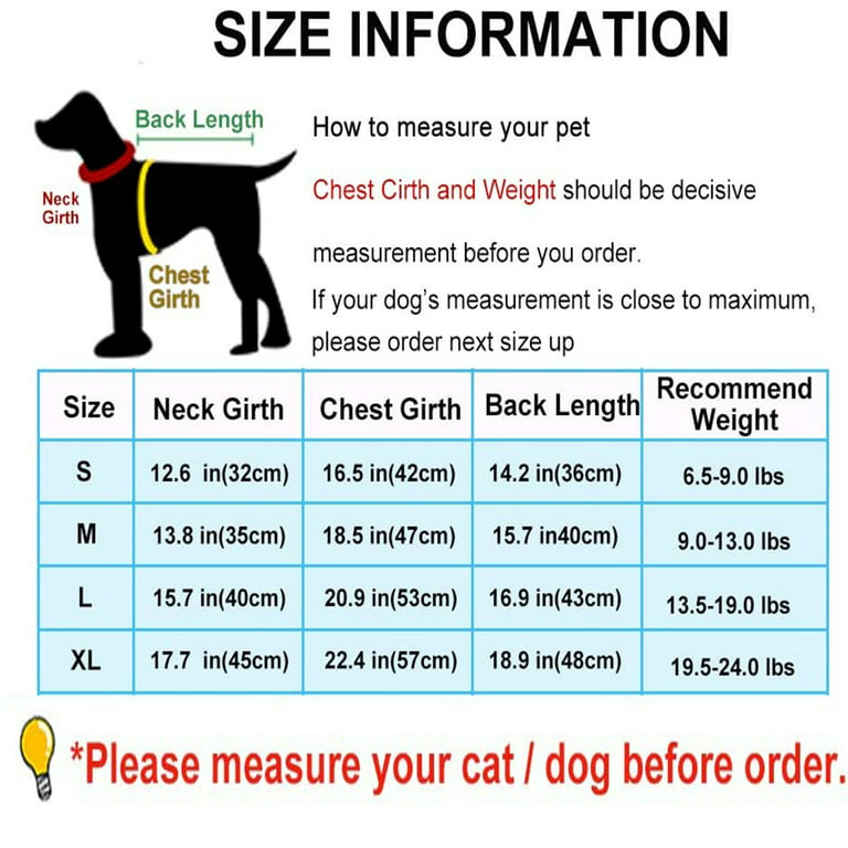 How to measure your dog for clothing
