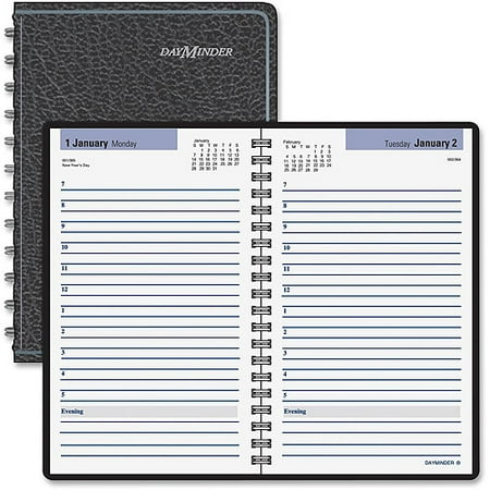 at a glance dayminder hourly appointment daily planner hourly appointment planner