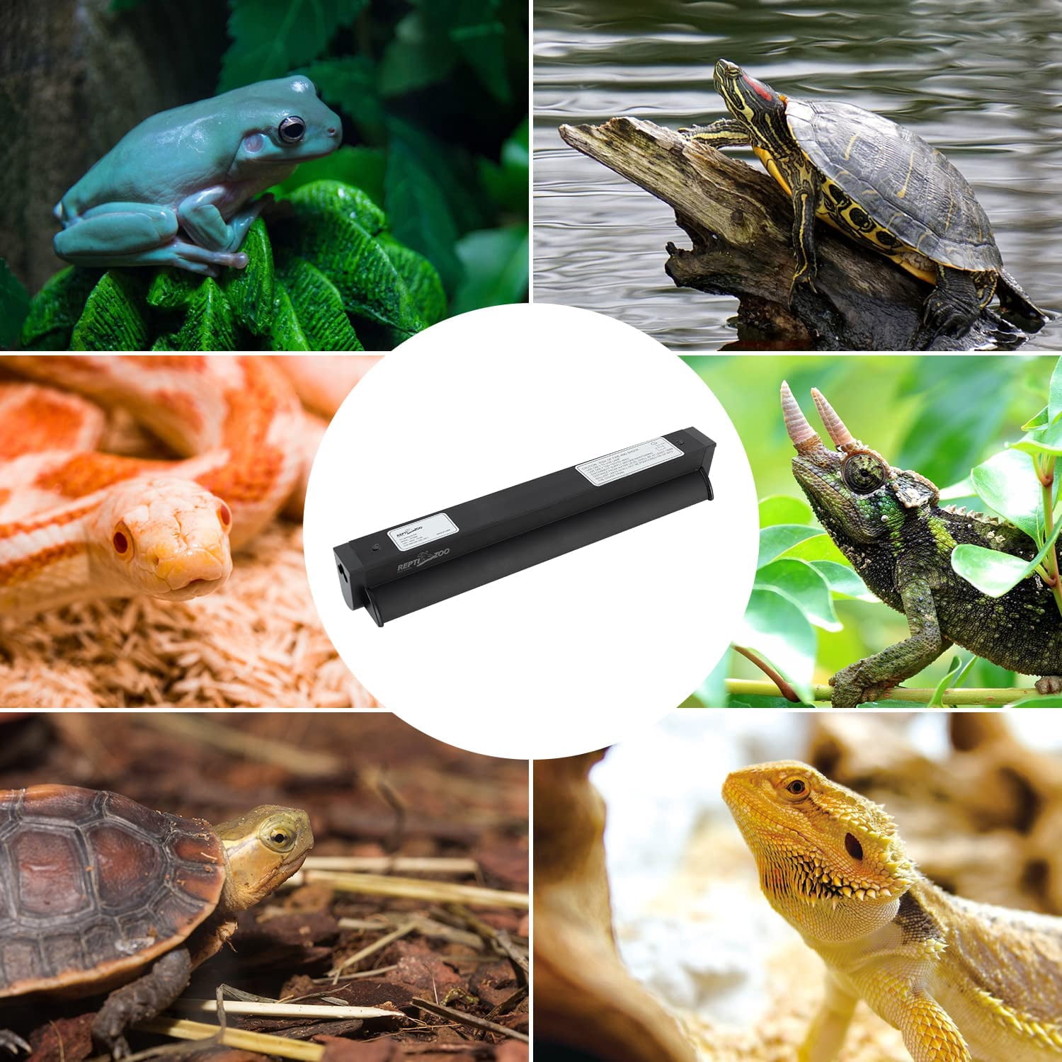 Lighting Combo Kit, Terrarium Hood Comes with Desert 10.0  T5 Lamp (39W)