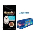 thumbnail image 1 of Ganador Premium Adulto Pequeña 20kg + Sobres Lomo de Cerdo 22 Pza, 1 of 5