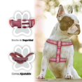 thumbnail image 2 of Pechera Para Mascotas Antirreflejante Rojo Ergonómico Grande Importadora La Merced Alta Resistencia, 2 of 3