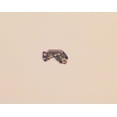 thumbnail image 2 of TAPDRA Part 5PCS WHOLESALE LOT FOR MIYOTA 2035 WATCH CIRCUIT FOR QUARTZ MOVEMENT Accessories, 2 of 2