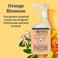 thumbnail image 2 of Antimanchas y olores para mascotas MRS. MEYER'S CLEAN DAY 480 ml, 2 of 8