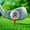 White3, variant on America 250th Anniversary Golf Balls (6-Pack), Patriotic Commemorative Golf Balls, Independence Day "In God We Trust" Printed Balls, White