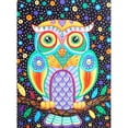 thumbnail image 1 of Diamante Pintura (DE4757) Resina Redondo Colorido Pájaro Rhinestone Punto de Cruz Mosaico 30x40cm FLhrweasw Nuevo, 1 of 1