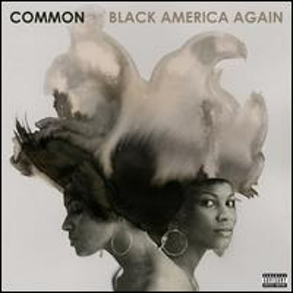 Pre-Owned Black America Again (CD 0602557124293) by Common