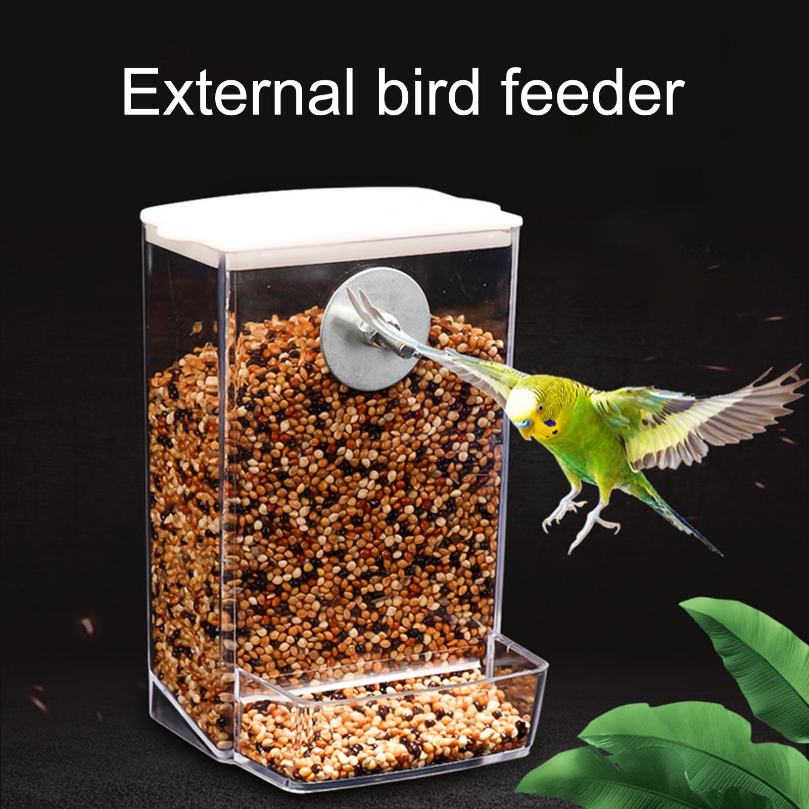 Hesroicy Automatic Bird Feeder with Dustproof Lid Clear and Anti Spill Mount for Budgies Cockatiels Conures and Other Birds Essential Pet