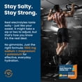 thumbnail image 3 of Venture Pal High Sodium Sugar Free Electrolytes Powder Packet - Hydration Packets with Vitamin, Sodium & Potassium | Zero Calories | Vegan, Keto & Paleo Friendly Electrolyte Drink Mix-30 Sticks, 3 of 11