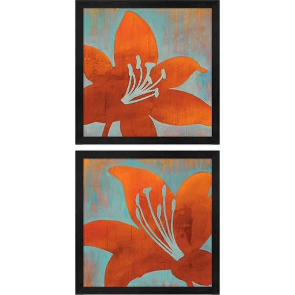 Great Art Now Cosmic Bloom by Stacey D' aguiar, 2 Piece Framed Art Set Each 13"W x 13"H