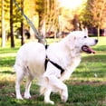 thumbnail image 4 of Dog Runner for Yard Dogs, Tie Out Cable, Dog Runners for Large Dogs, Long Dog Lead for Large Dogs, 4 of 5