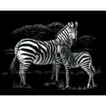 thumbnail image 2 of Royal & Langnickel(R) Silver Foil Engraving Art Kit 8"X10"-Zebras, 2 of 2