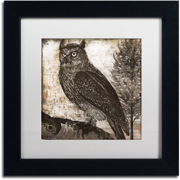 Trademark Fine Art "Owl 2" Canvas Art by Color Bakery White Matte, Black Frame