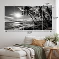 thumbnail image 4 of Designart "Hawaii Balck And White Forms Of Aloha II" Nautical & Beach Wall Art Prints Set, 4 of 5